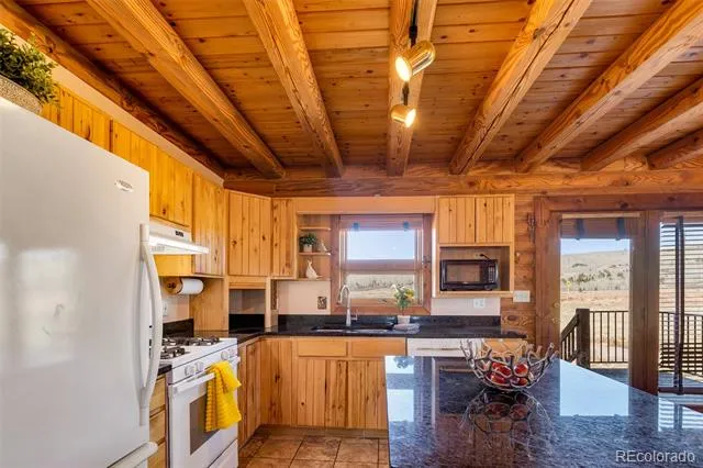 1528 Silverheels Road Fairplay, CO 80440