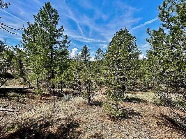 7080 Copper Gulch Road Cotopaxi, CO 81223