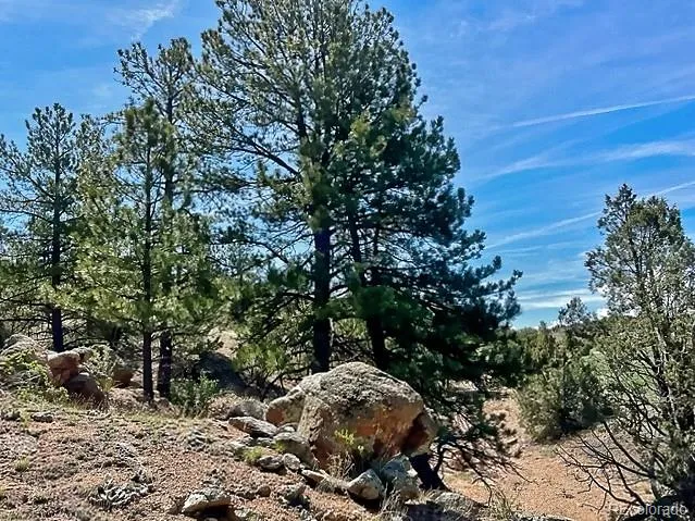 7080 Copper Gulch Road Cotopaxi, CO 81223
