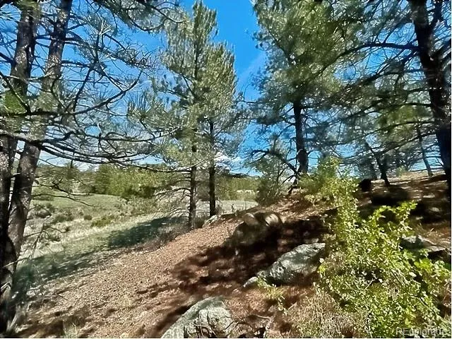7080 Copper Gulch Road Cotopaxi, CO 81223