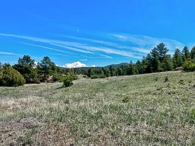 7080 Copper Gulch Road Cotopaxi, CO 81223