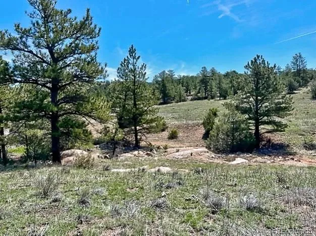 7080 Copper Gulch Road Cotopaxi, CO 81223