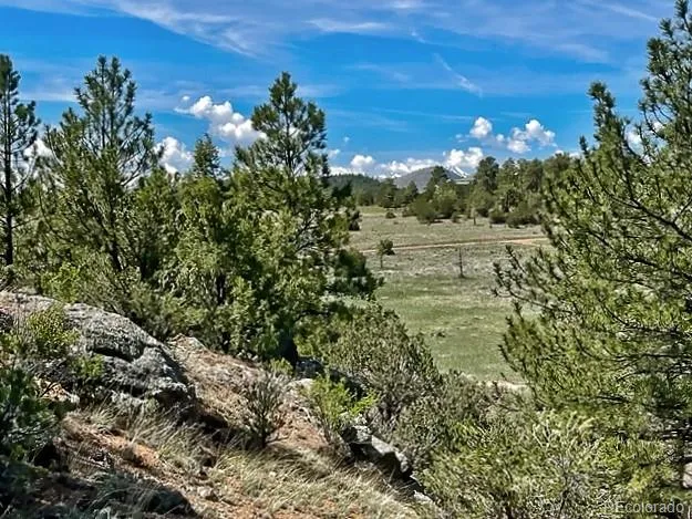 7080 Copper Gulch Road Cotopaxi, CO 81223