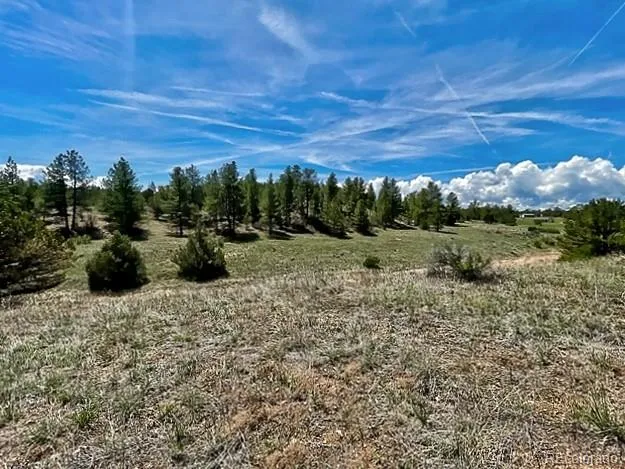 7080 Copper Gulch Road Cotopaxi, CO 81223