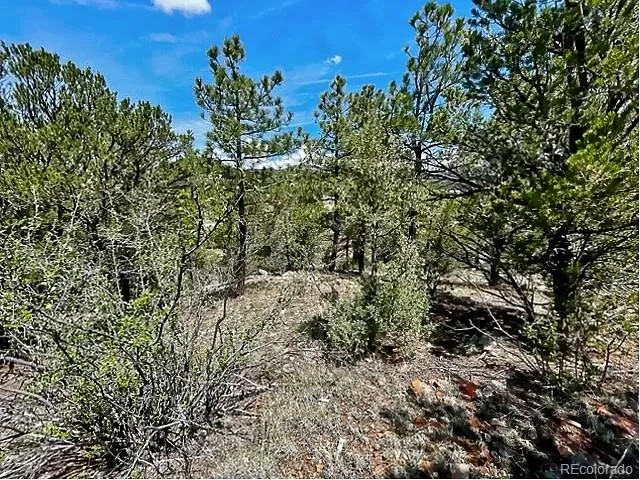 7080 Copper Gulch Road Cotopaxi, CO 81223