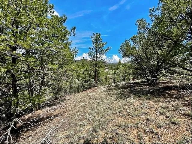 7080 Copper Gulch Road Cotopaxi, CO 81223