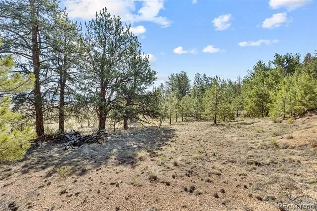 2120 Oxford Drive Hartsel, CO 80449