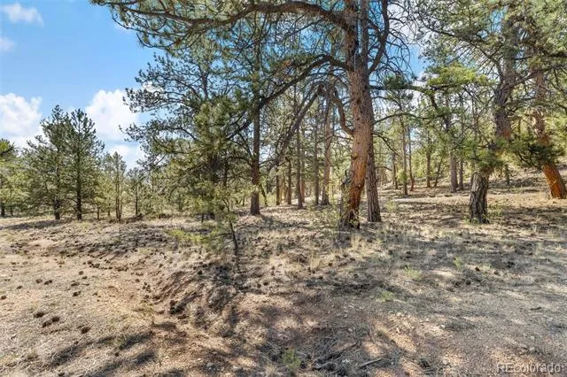 2120 Oxford Drive Hartsel, CO 80449