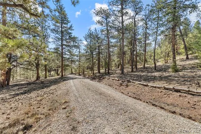 2120 Oxford Drive Hartsel, CO 80449