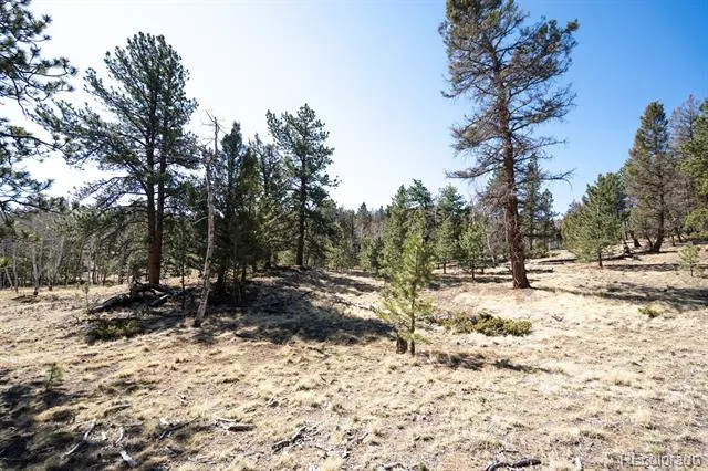 1657 Windmill Drive Hartsel, CO 80449