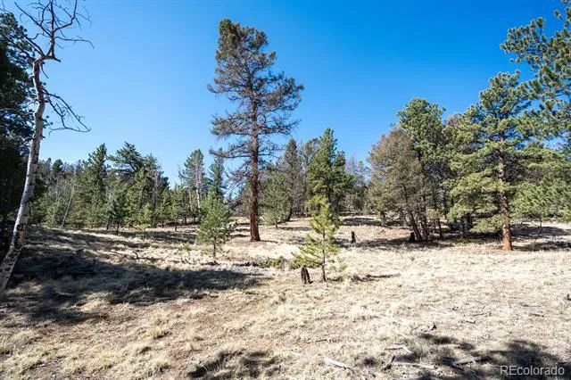 1657 Windmill Drive Hartsel, CO 80449