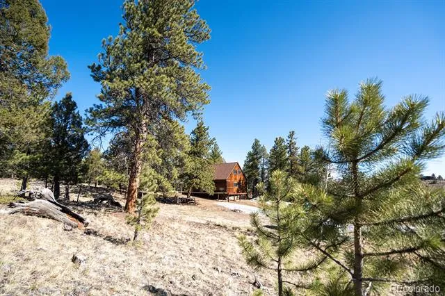 1657 Windmill Drive Hartsel, CO 80449
