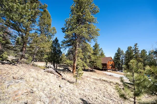 1657 Windmill Drive Hartsel, CO 80449