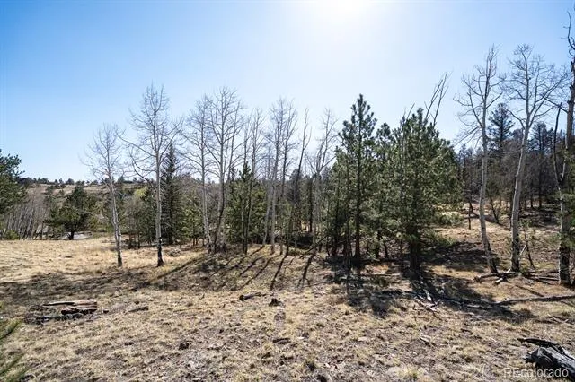 1657 Windmill Drive Hartsel, CO 80449
