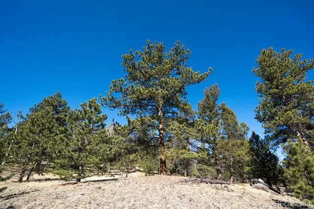 1657 Windmill Drive Hartsel, CO 80449