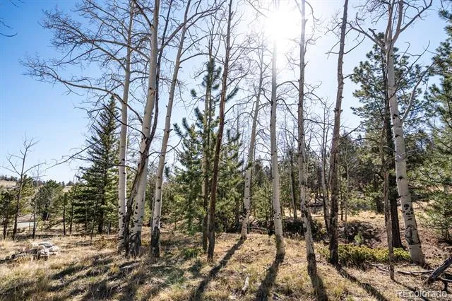 1657 Windmill Drive Hartsel, CO 80449