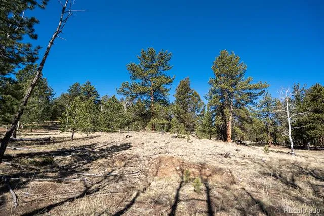 1657 Windmill Drive Hartsel, CO 80449