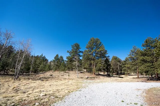 1657 Windmill Drive Hartsel, CO 80449
