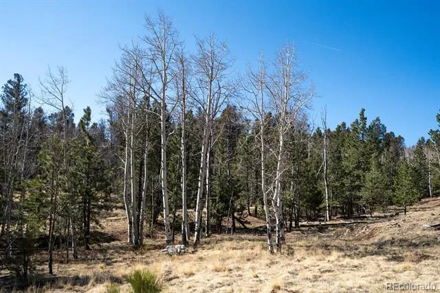 1657 Windmill Drive Hartsel, CO 80449