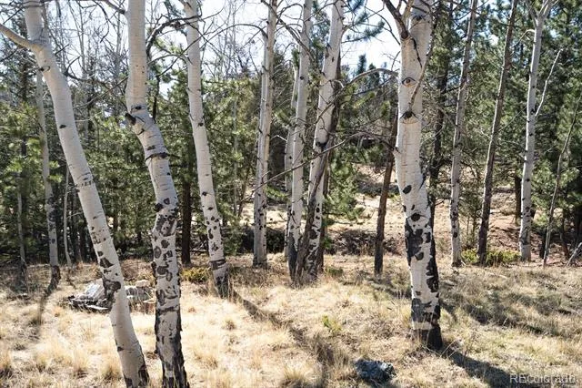 1657 Windmill Drive Hartsel, CO 80449