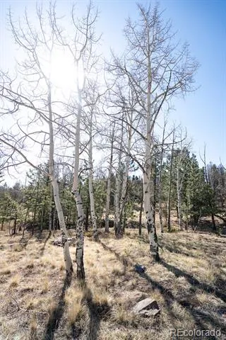 1657 Windmill Drive Hartsel, CO 80449