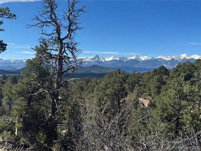 1214 Kevin Drive Cotopaxi, CO 81223