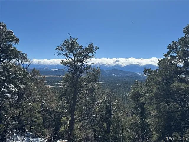 1214 Kevin Drive Cotopaxi, CO 81223