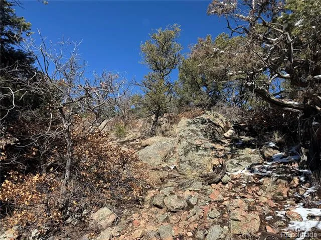 1214 Kevin Drive Cotopaxi, CO 81223