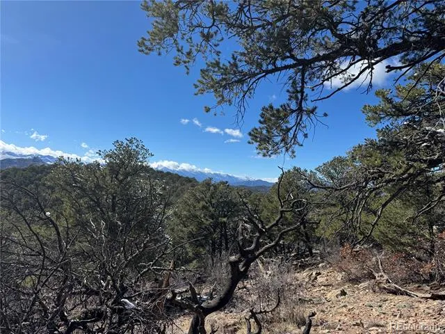 1214 Kevin Drive Cotopaxi, CO 81223