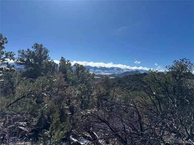 1214 Kevin Drive Cotopaxi, CO 81223