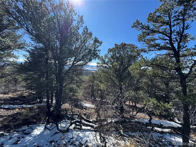 1214 Kevin Drive Cotopaxi, CO 81223