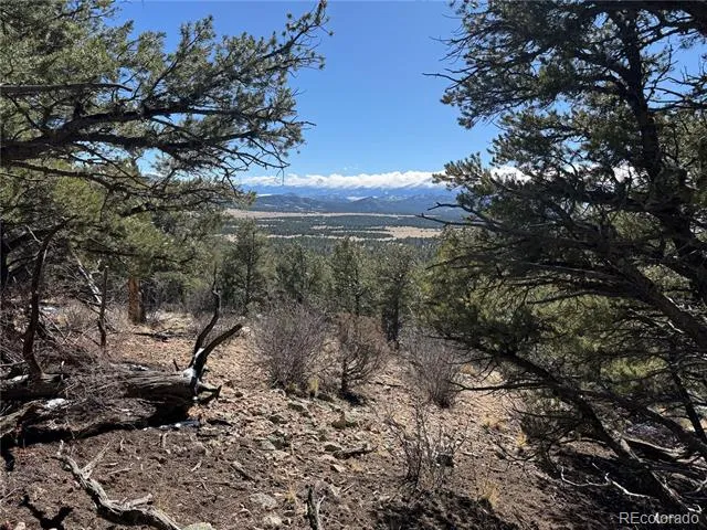 1214 Kevin Drive Cotopaxi, CO 81223