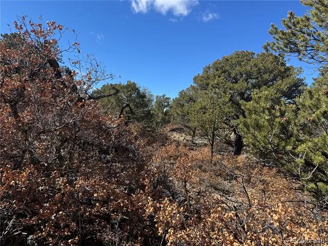 1214 Kevin Drive Cotopaxi, CO 81223