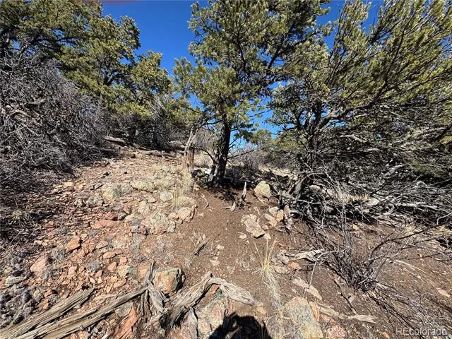 1214 Kevin Drive Cotopaxi, CO 81223