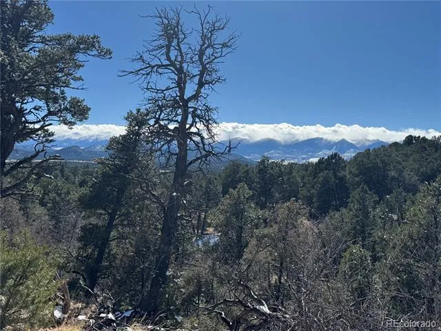 1214 Kevin Drive Cotopaxi, CO 81223
