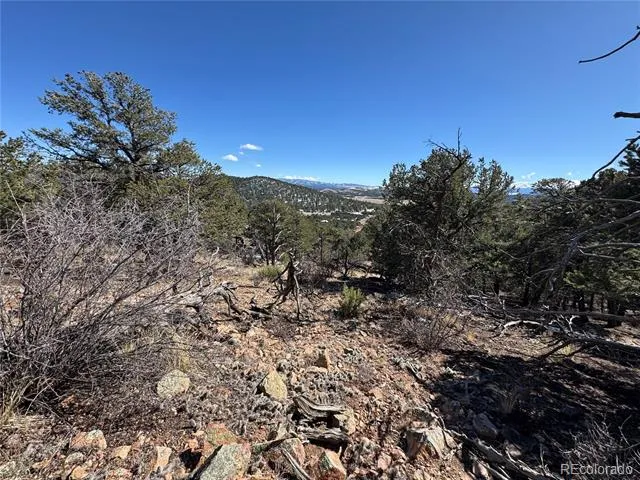 1214 Kevin Drive Cotopaxi, CO 81223