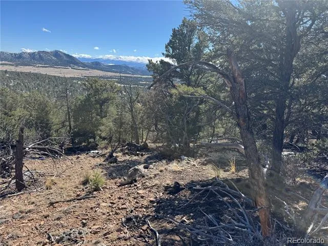 1214 Kevin Drive Cotopaxi, CO 81223