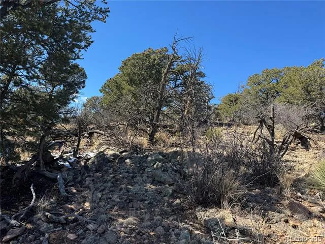 1214 Kevin Drive Cotopaxi, CO 81223