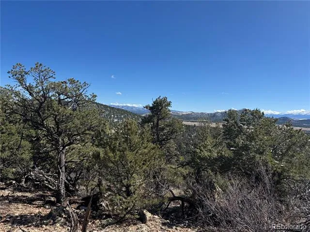 1214 Kevin Drive Cotopaxi, CO 81223