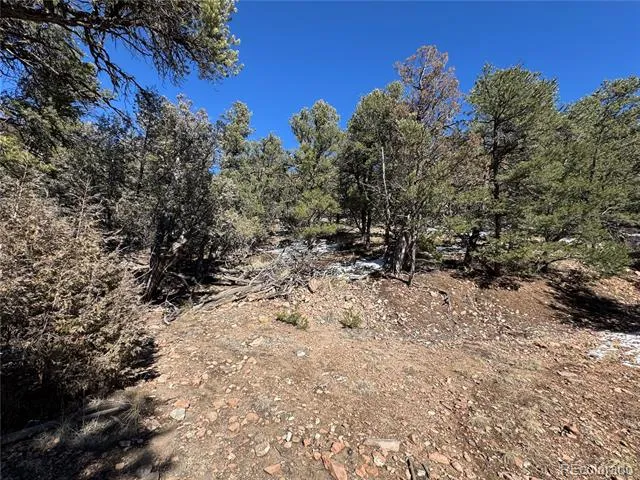 1214 Kevin Drive Cotopaxi, CO 81223