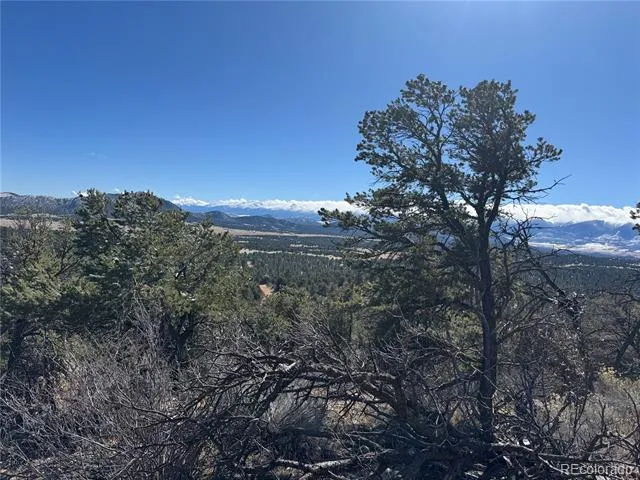 1214 Kevin Drive Cotopaxi, CO 81223