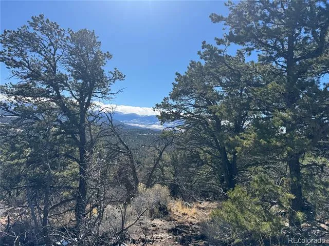 1214 Kevin Drive Cotopaxi, CO 81223