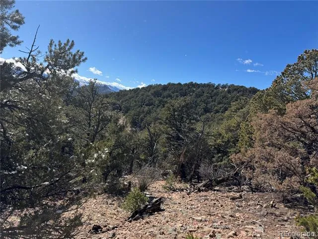 1214 Kevin Drive Cotopaxi, CO 81223