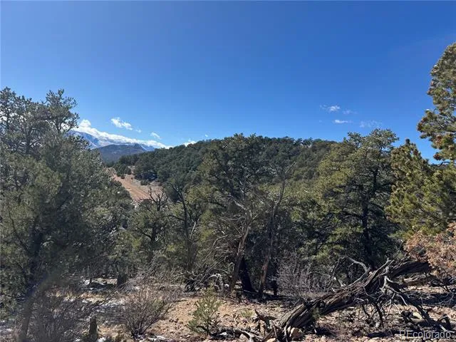 1214 Kevin Drive Cotopaxi, CO 81223