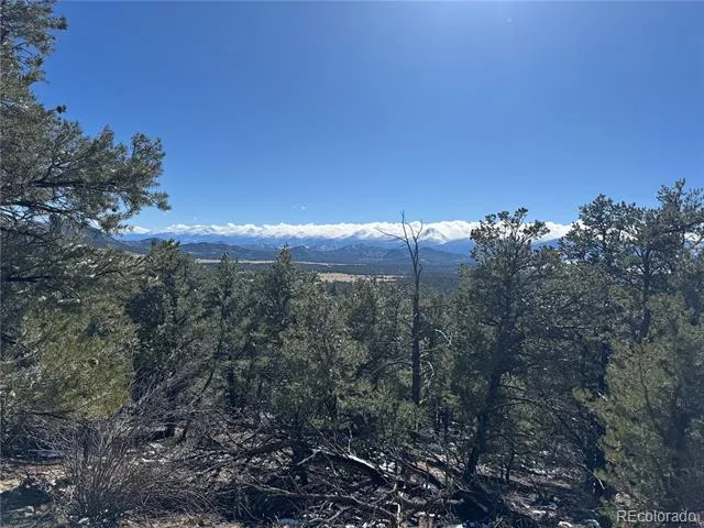 1214 Kevin Drive Cotopaxi, CO 81223