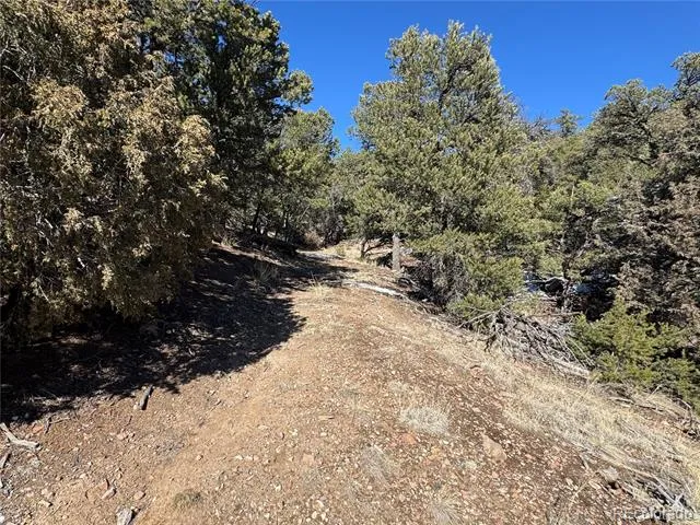 1214 Kevin Drive Cotopaxi, CO 81223