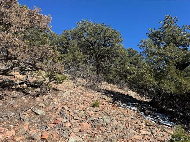 1214 Kevin Drive Cotopaxi, CO 81223