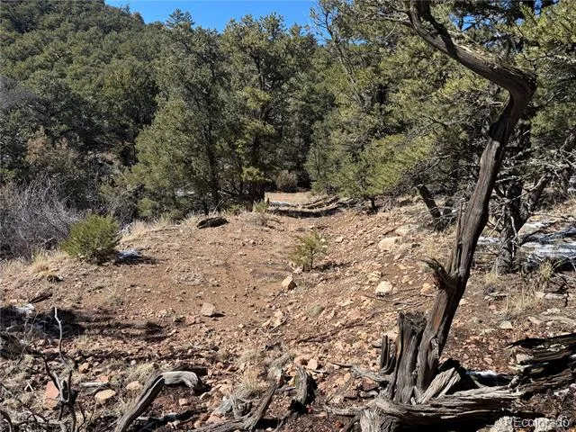 1214 Kevin Drive Cotopaxi, CO 81223