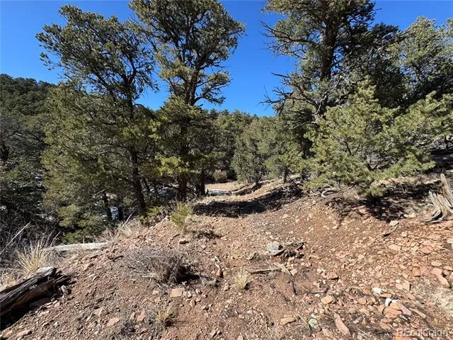 1214 Kevin Drive Cotopaxi, CO 81223