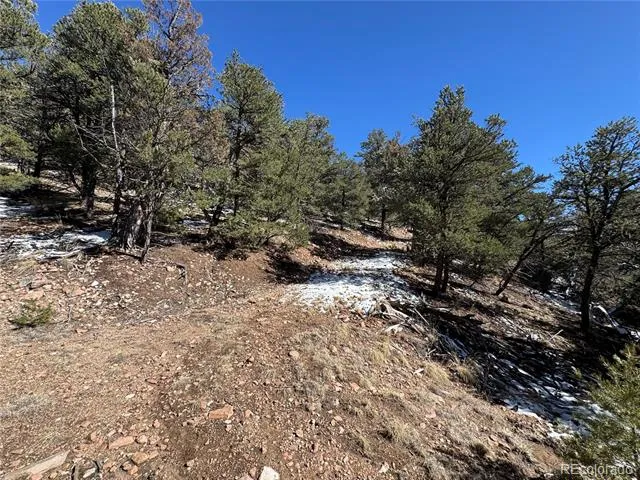 1214 Kevin Drive Cotopaxi, CO 81223